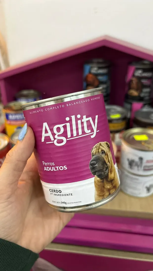 Agility adultos