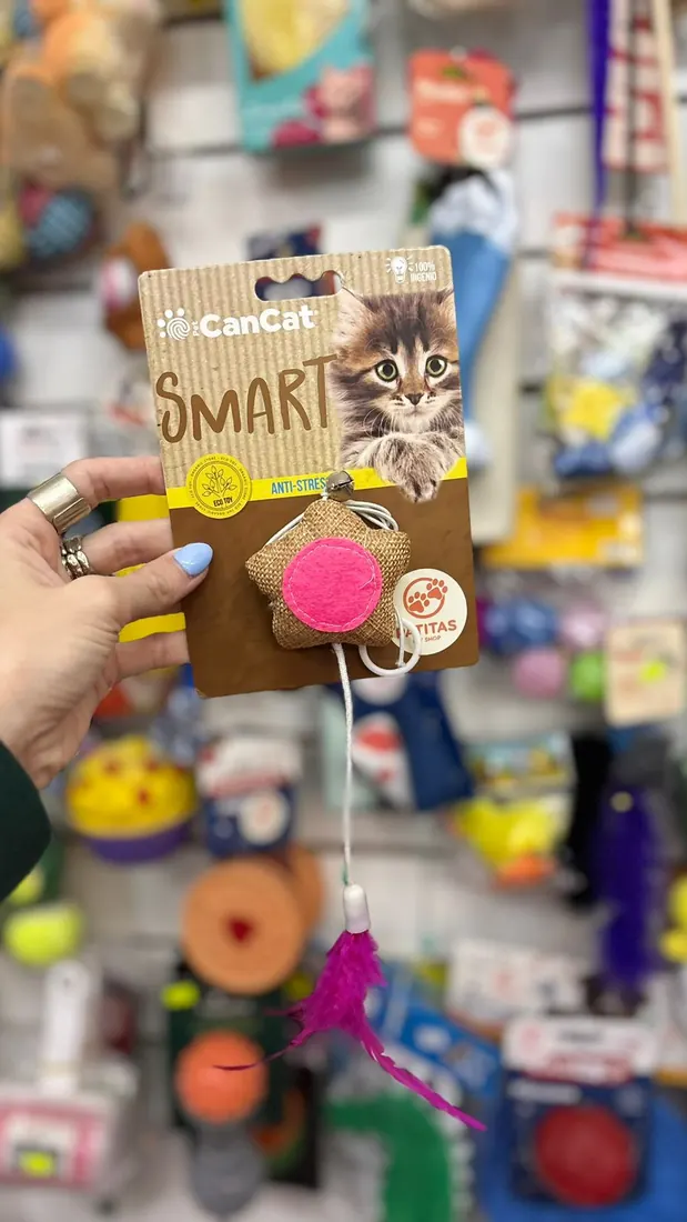 CanCat Smart