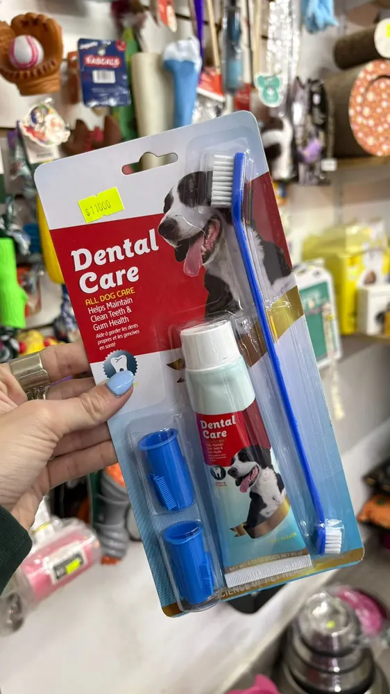 Kit dental