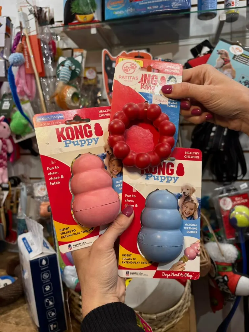 Kong Puppy