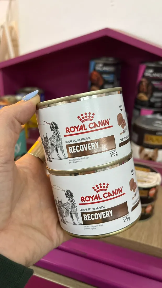 Royal Canin Recovery