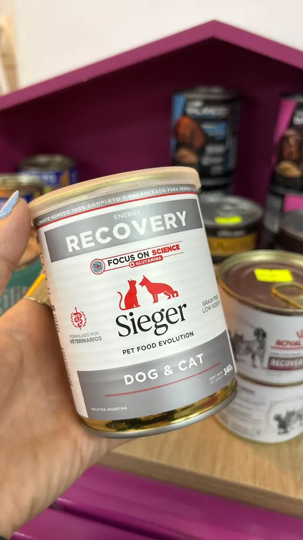 Sieger Recovery