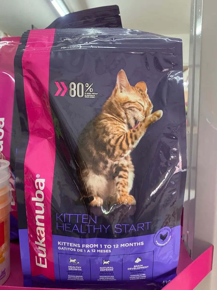 Eukanuba Kitten