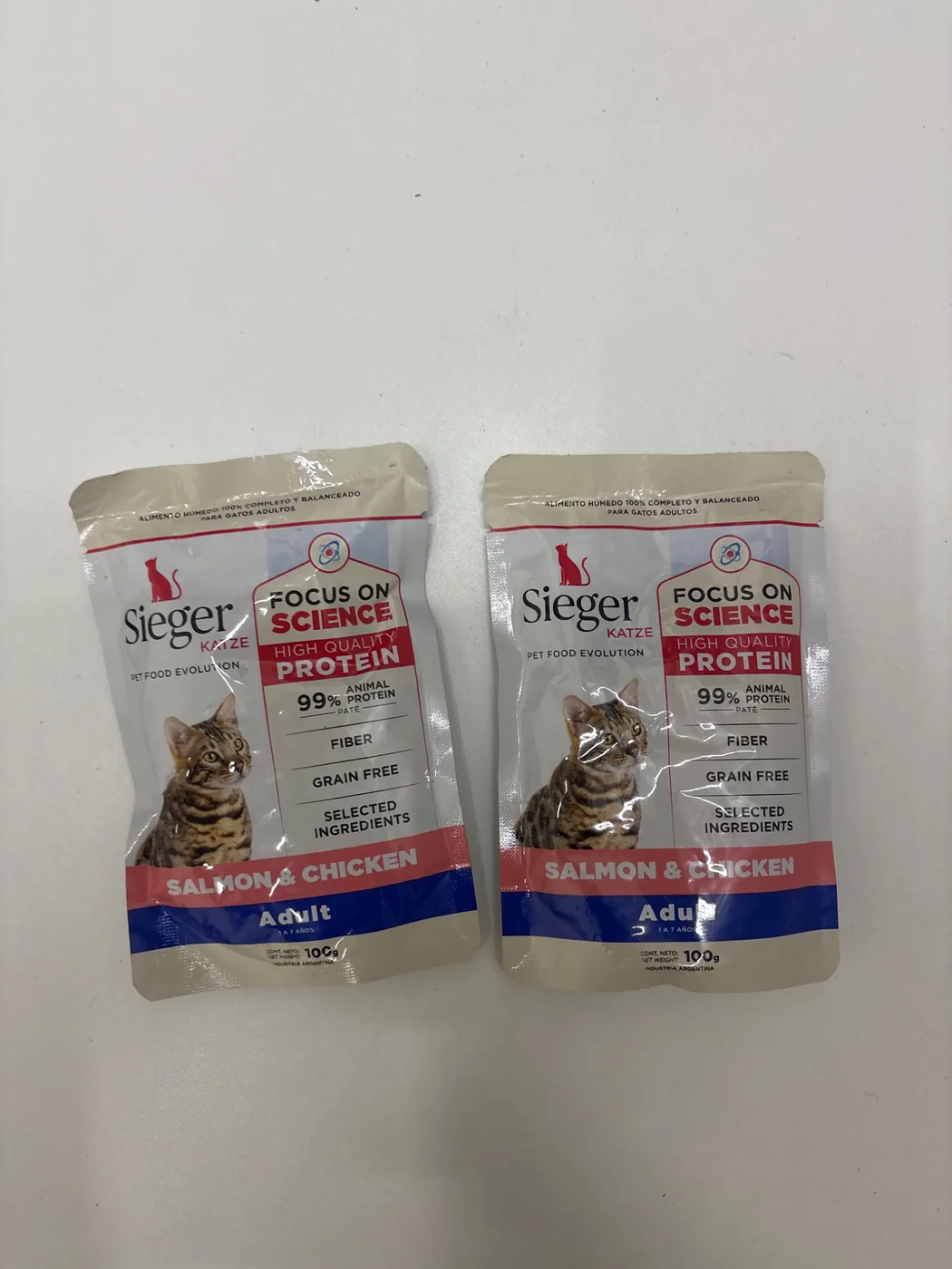 Sieger Katze